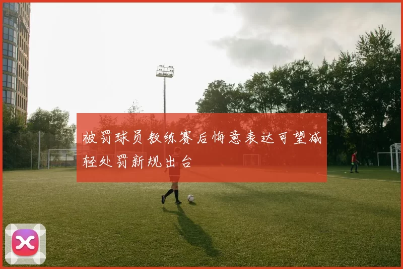 被罚球员教练赛后悔意表达可望减轻处罚新规出台