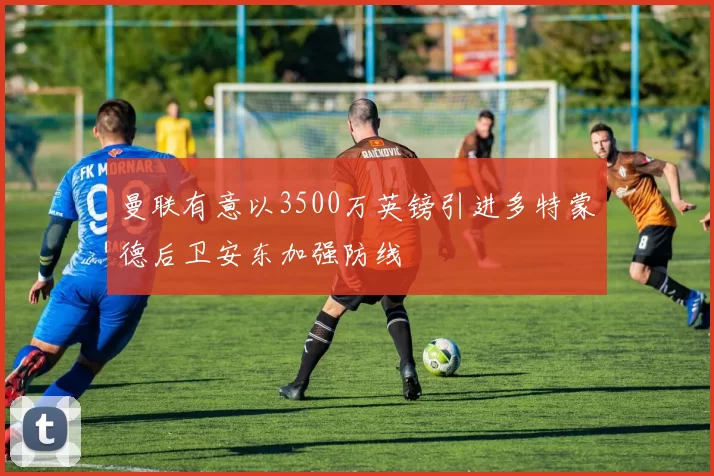 曼联有意以3500万英镑引进多特蒙德后卫安东加强防线